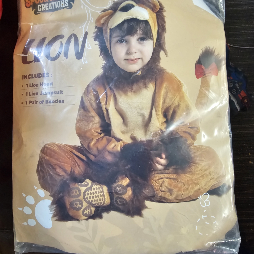 Kids Brown Lion Costume with Hooded Mane